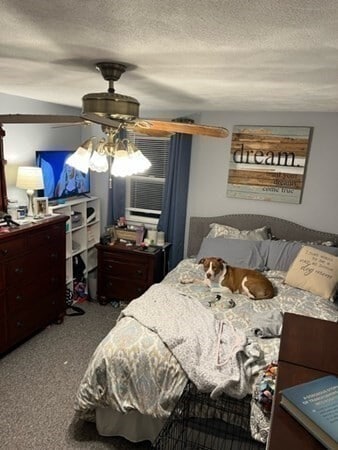 Building Photo - 3 Russell St