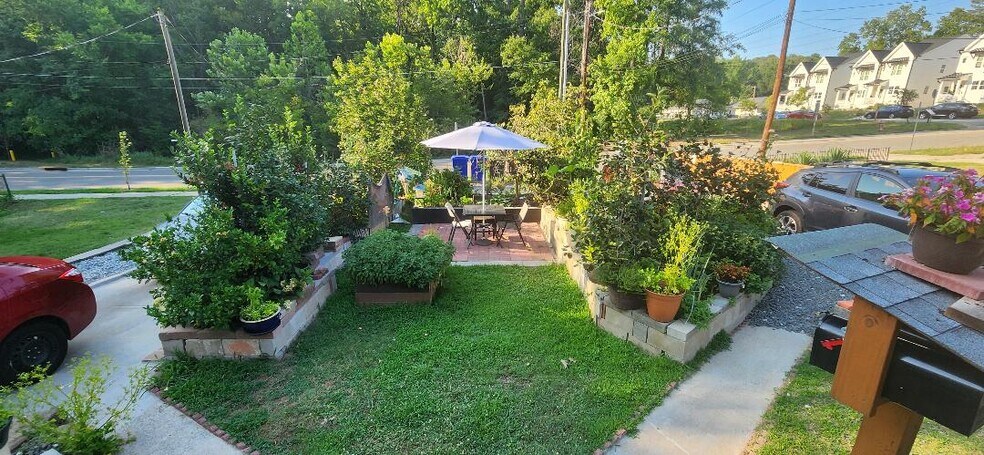 front garden - 705 W Markham Ave