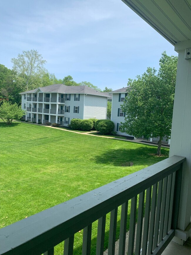 15 S Shafer St 15 S Shafer St Athens OH 45701 Apartment Finder