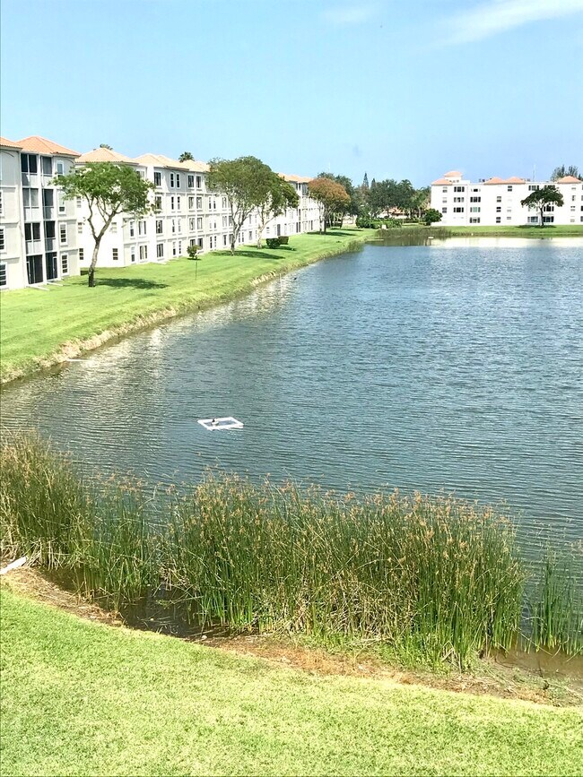 14096 Huntington Pointe Dr 14096 Huntington Pointe Dr Delray Beach FL