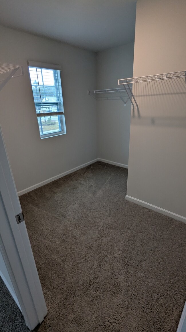 Building Photo - 163 Painted Lady Lp