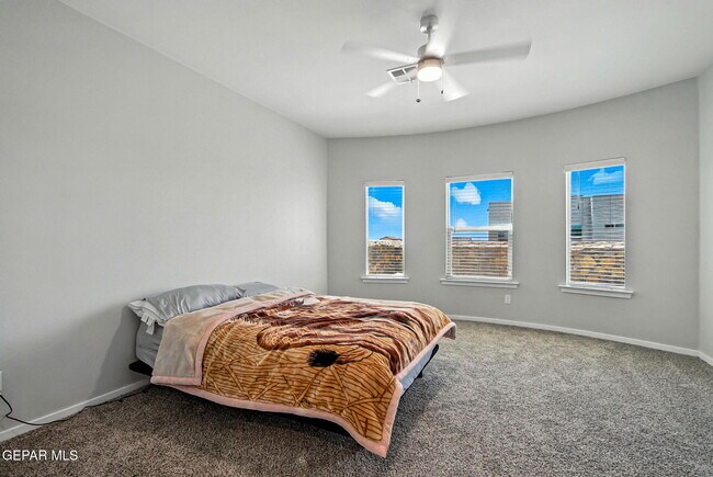 Building Photo - 349 Loddon St