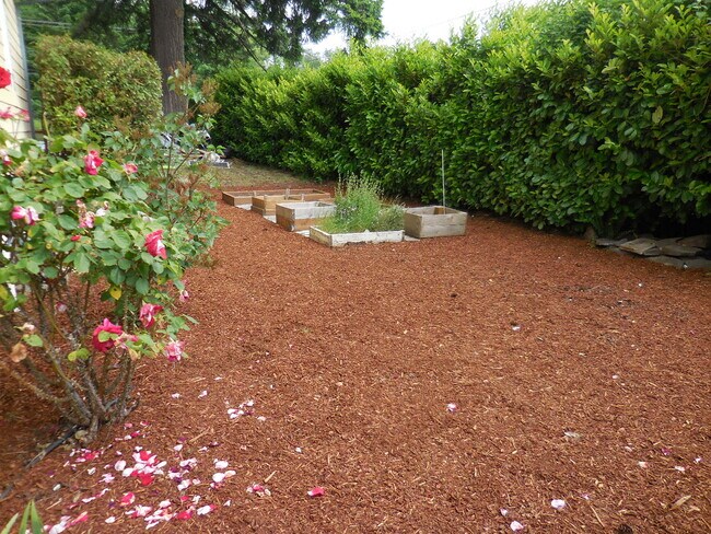 Building Photo - 16093 SW Roy Rogers Rd