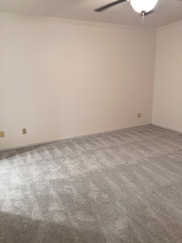 Building Photo - 125 Berkshire Dr