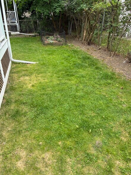 Back yard and lawn - 29 Rose St