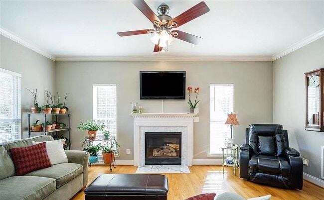 Living Room - 1217 Twelve Oaks Ln