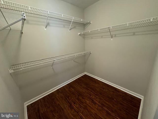 Building Photo - 5 Kanon Ct
