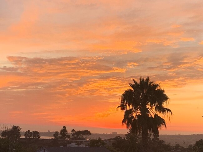 Building Photo - 2457 Burgener Blvd