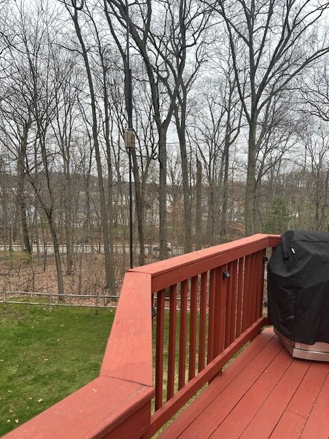 Rear Yard - 411 Lundy Ct