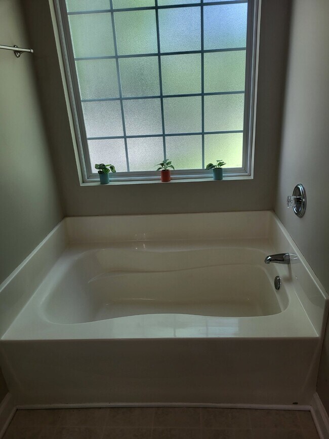 Building Photo - 407 S Elgin Ct