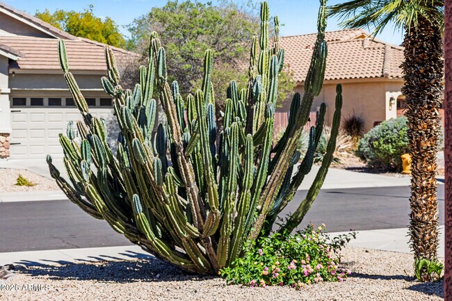 Building Photo - 8373 W Mary Ann Dr