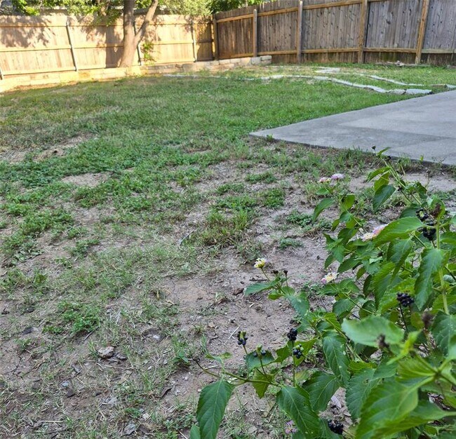 Building Photo - 1139 Emmitt Run