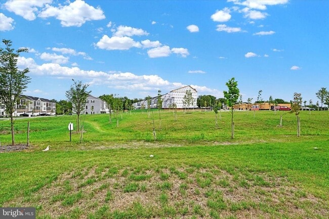 Building Photo - 7907 Olive Branch Ln