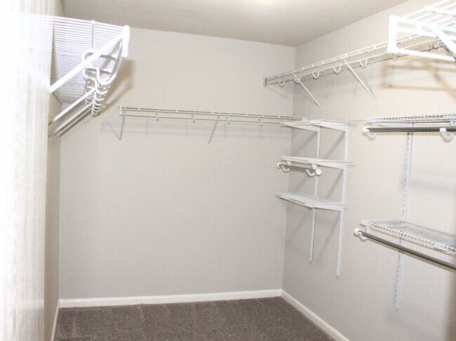 Building Photo - 11307 Flying Geese Ln