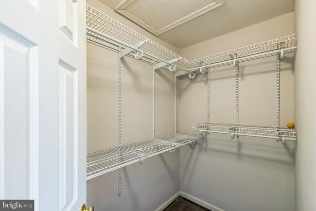 Building Photo - 5907 Trumpet Sound Ct
