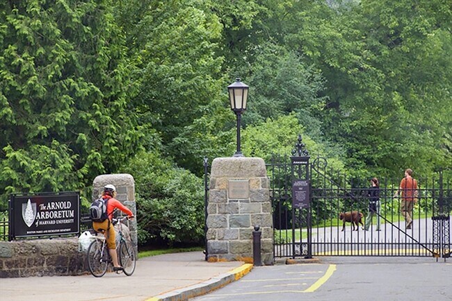 Building Photo - 25 Custer St