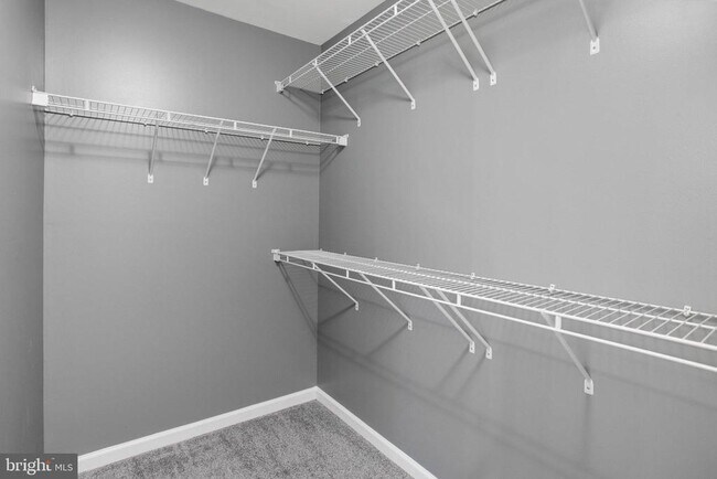 Building Photo - 25183 Creation Terrace