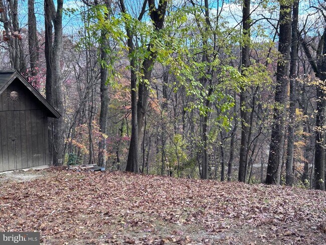 Building Photo - 132 Pinecrest Ln