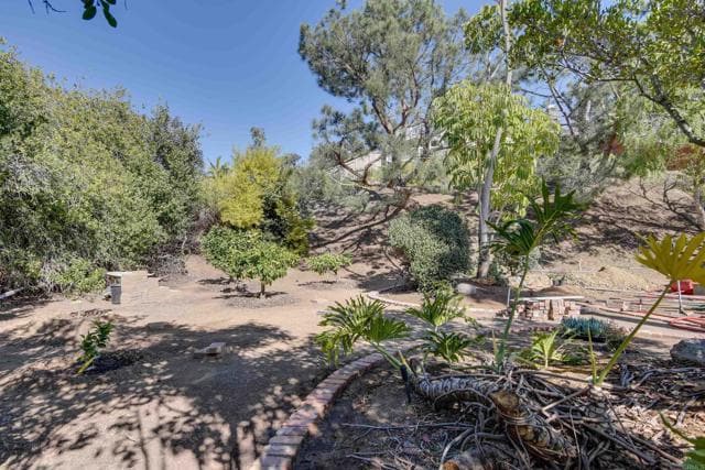 Building Photo - 3333 Vivienda Cir