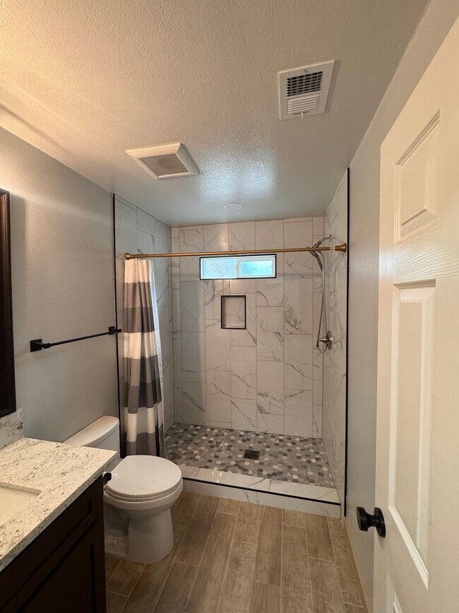 Building Photo - Newly Remodeled 2 Bedroom, 2 Bath Back House