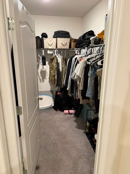 Building Photo - 3771 Alder Bark Ln