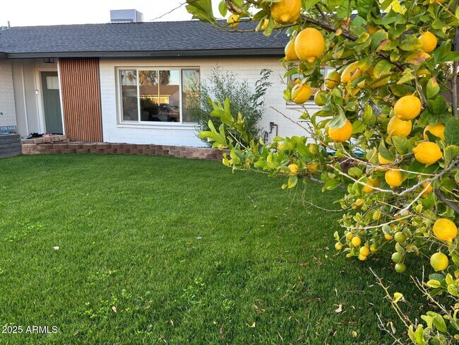 Building Photo - 4414 S Terrace Rd