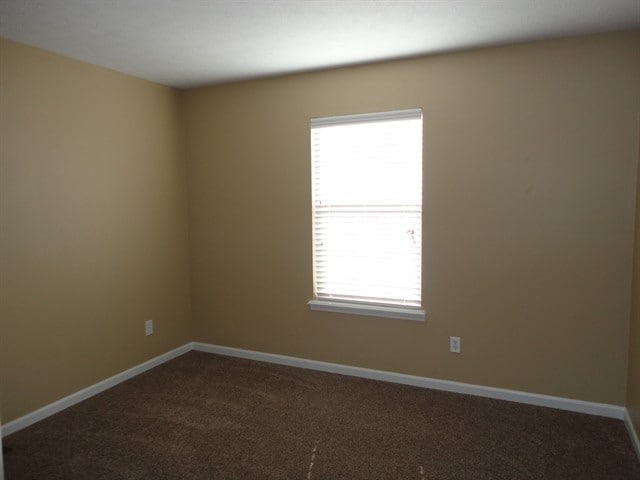 Building Photo - 10619 Northern Dancer Dr