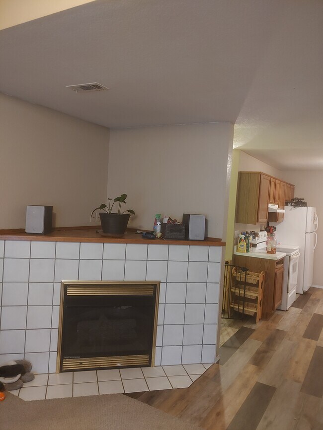 gas fireplace - 204 Killdeer Dr