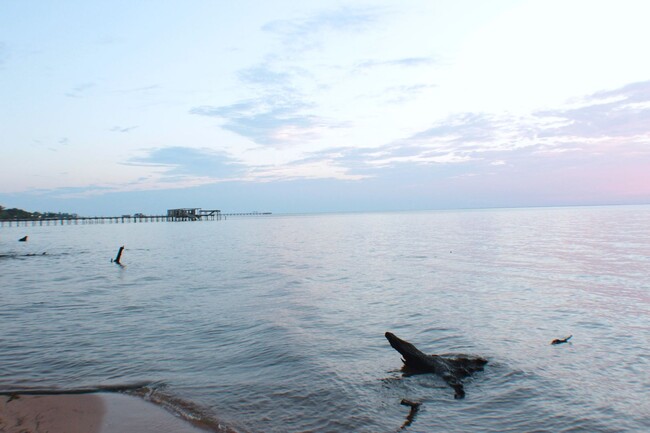 Building Photo - Upcoming:Just minutes from Mobile Bay