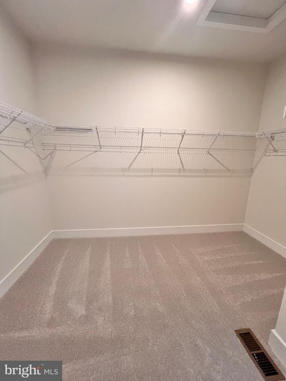 Building Photo - 139 Bamboo Shoot Ln