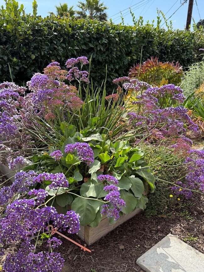 Building Photo - Beautifully Updated 3 Bed, 2 Bath Home in West Vista