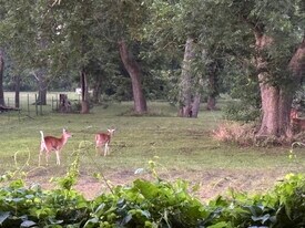 Building Photo - 2011 Miller Rd