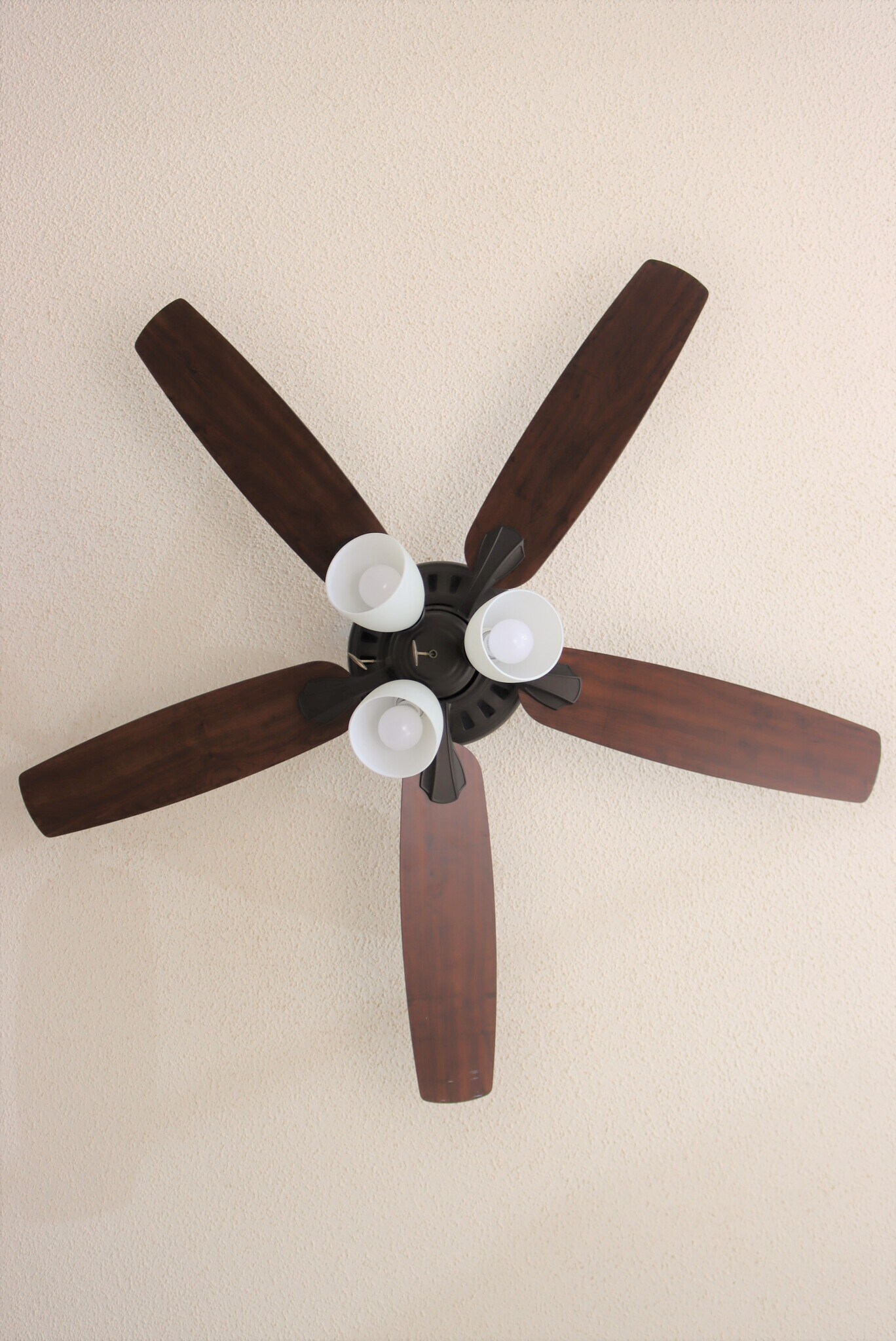 Downstairs Bedroom Fan - 52 in. - 1057 Stones Throw Dr NW