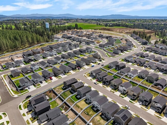 Building Photo - Beautiful 2022 Built Home With Views!