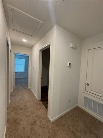 Building Photo - 713 Peach Tree Ln