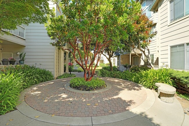 Building Photo - Spacious, Open-Concept 2/2 Condo SSF