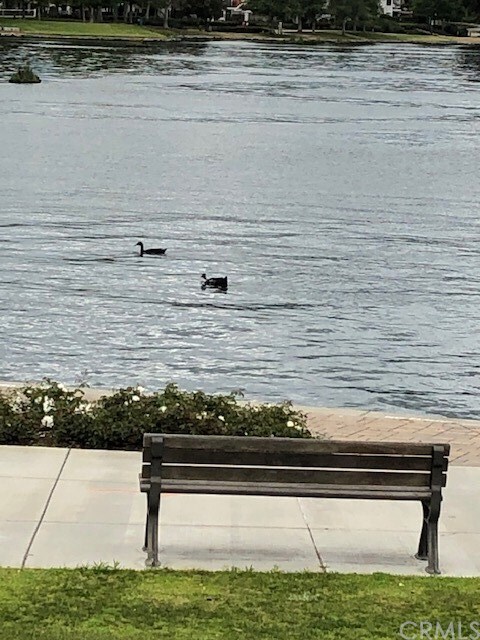 Building Photo - 82 Flor De Sol