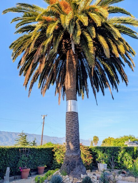 Building Photo - 1493 Crestline Dr