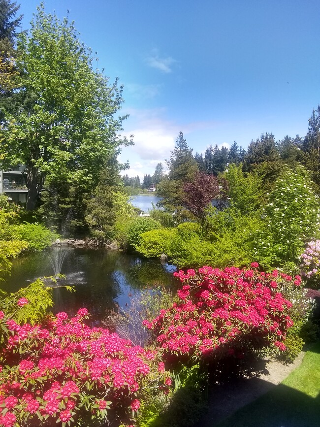 Building Photo - 19414 Aurora Ave N