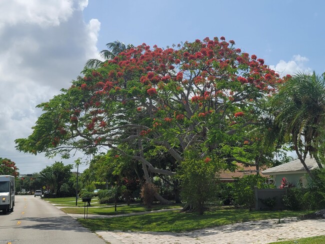 Building Photo - 1905 Robalo Dr