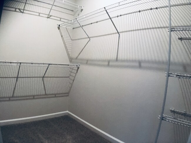 Building Photo - 2917 Stagg Ln