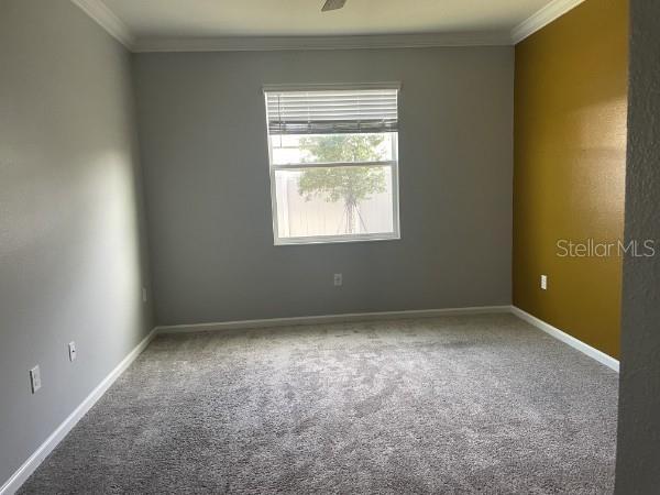 Building Photo - 1125 Saguaro St