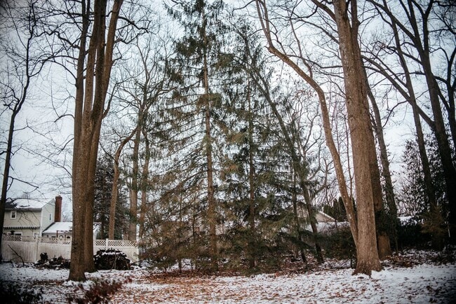 Building Photo - 1449 Jill Dr