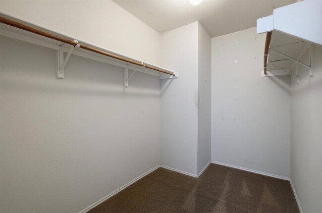 Building Photo - 1806 Carriage Hills Trail
