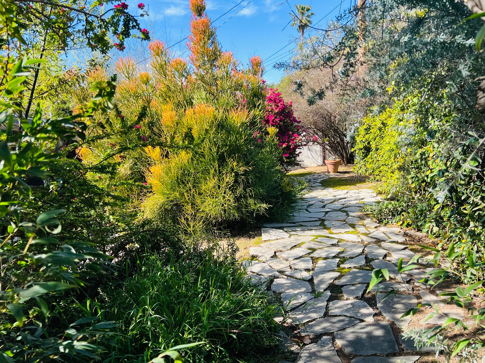 Building Photo - 5177 Carlingford Ave