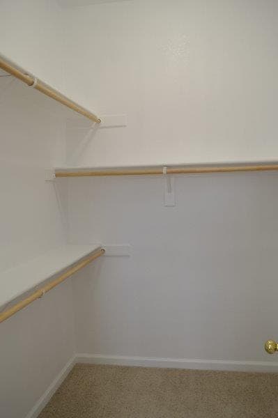 Building Photo - 111 Brassie Ct