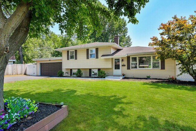 Building Photo - 36 Robin Hill Dr