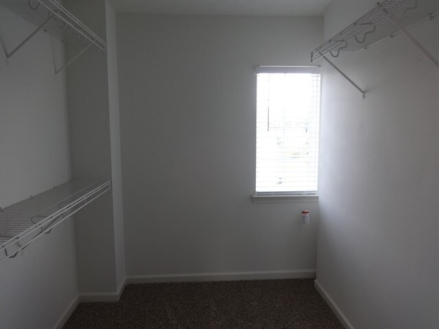 Building Photo - 2088 White Top Rd