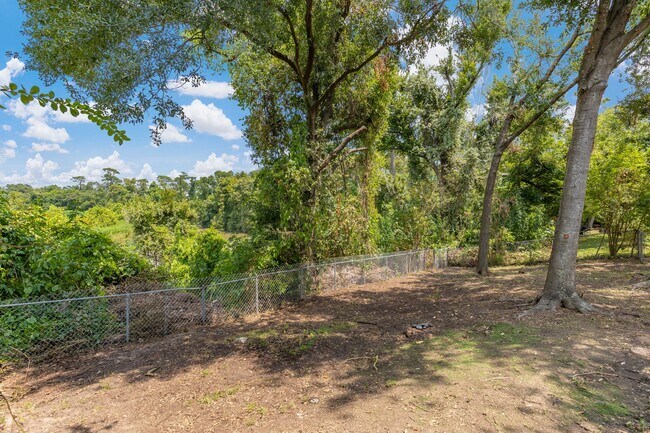 Building Photo - 12523 Province Point Dr