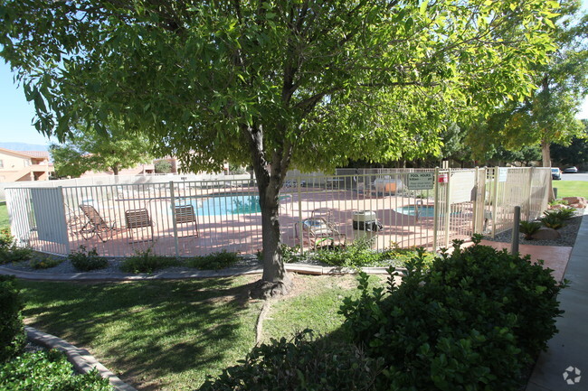 Pool Area - Desert Shade Apartments